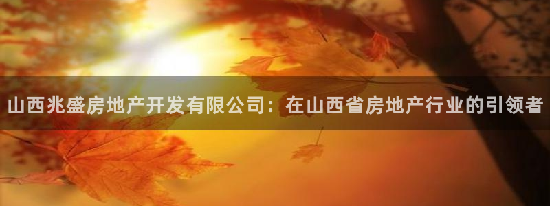 万向娱乐的494o3 主管