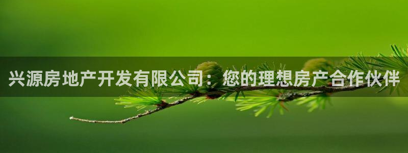 万向娱乐下载安装