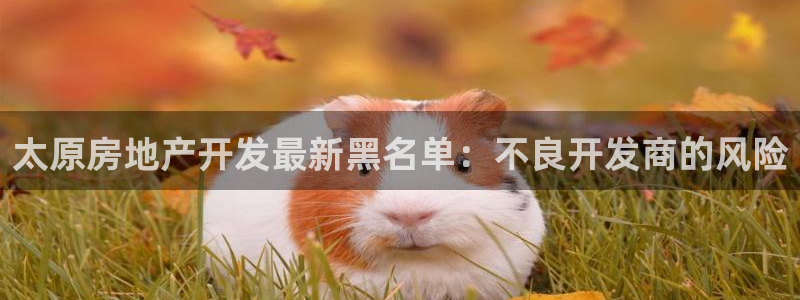 万向娱乐平台代理怎么做赚钱