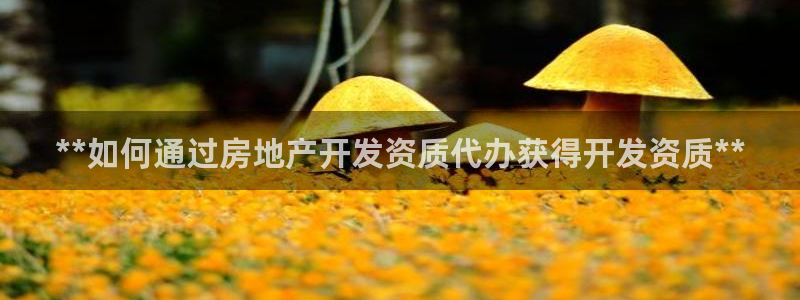 万能娱乐平台直招代理