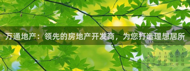 万向娱乐平台注册流程图