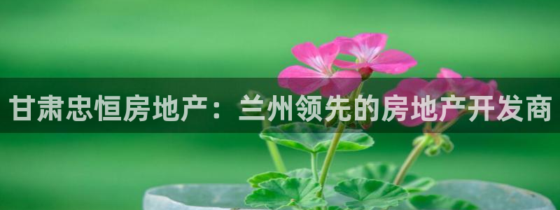 万能娱乐平台直招代理