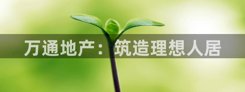 万向娱乐官网下载安装