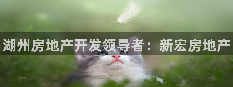 万向娱乐平台代理怎么做的