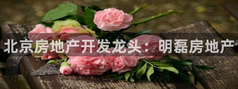 万向娱乐app下载官网