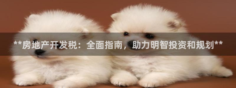 万向娱乐平台代理怎么样