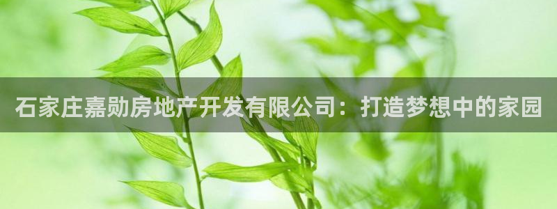 万向娱乐官网网址大全