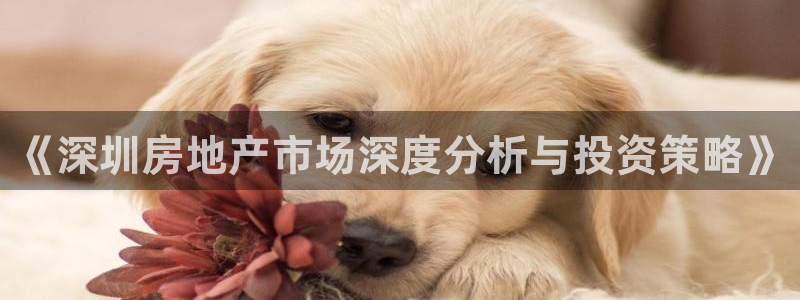 万向娱乐app下载安装