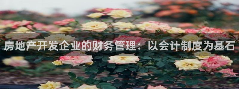 万象国际娱乐网址