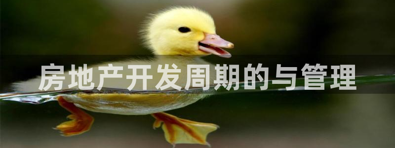 万能娱乐代理网址