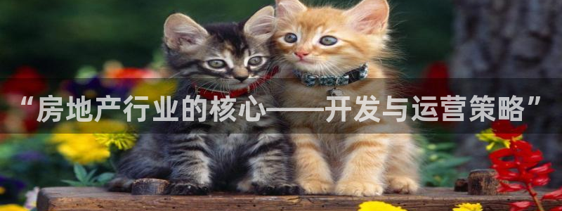 万向娱乐灯333OO