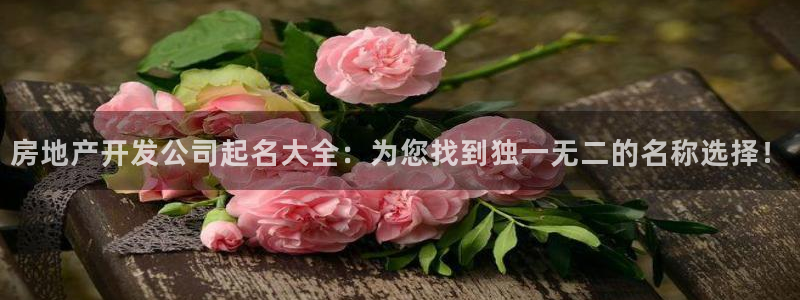 万向娱乐公司 585.34I 娱乐