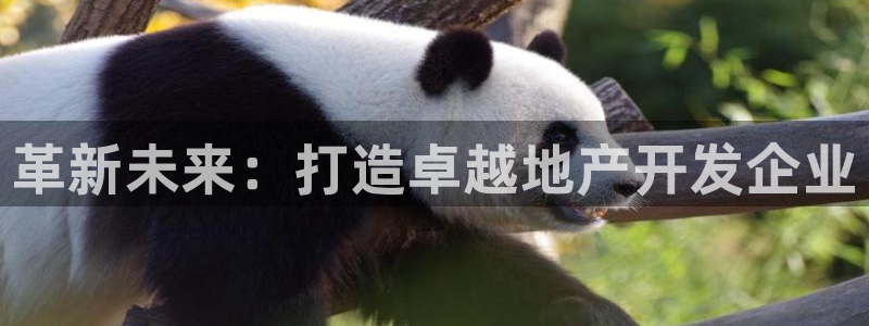 万向娱乐官网网址是什么