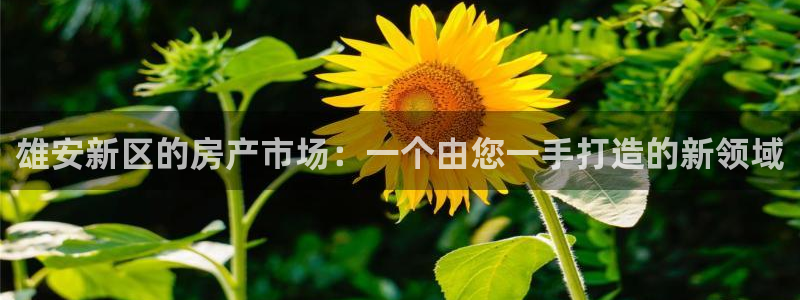 万向娱乐代理好看视频是真的吗
