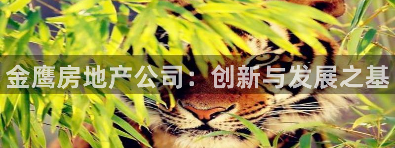 万向娱乐注册资金多少钱