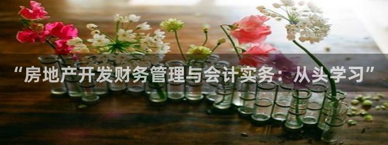 万向娱乐平台代理怎么样