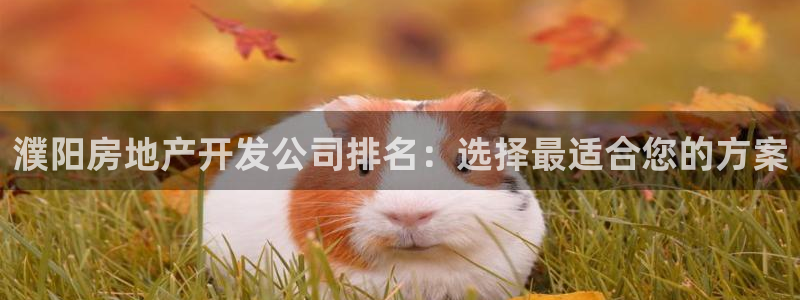 万向娱乐平台代理怎么做