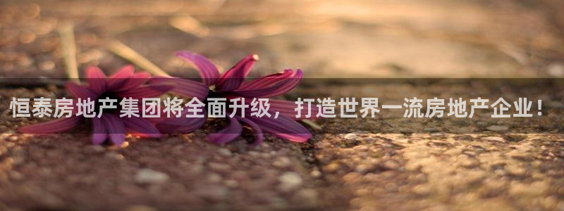 万向娱乐平台代理多少钱一年