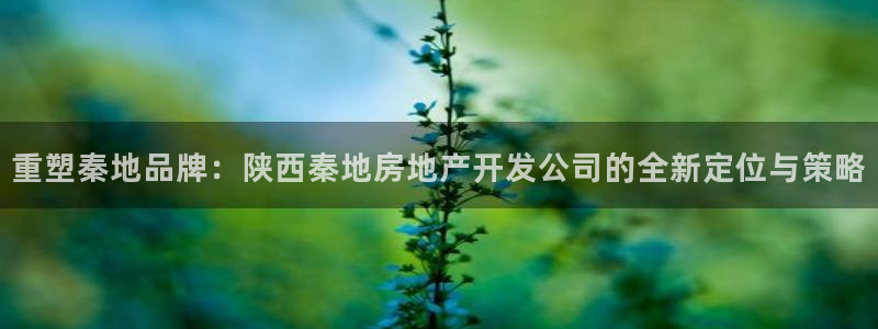 万能娱乐平台直招代理