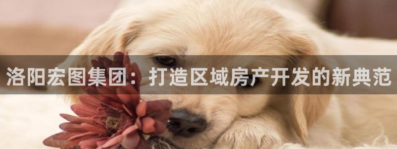 万向娱乐平台注册流程