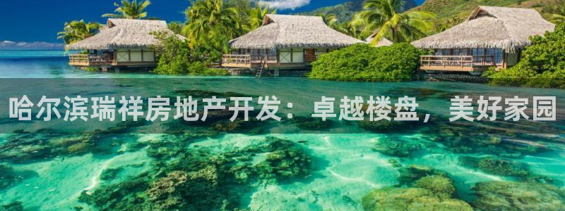 万向娱乐平台代理怎么做的