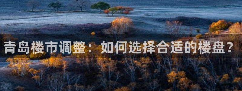 万向娱乐下载安装