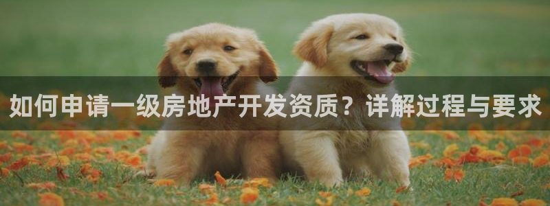 万向娱乐的联系方式有哪些