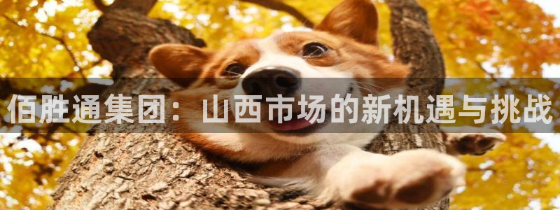 万向娱乐平台下载安装