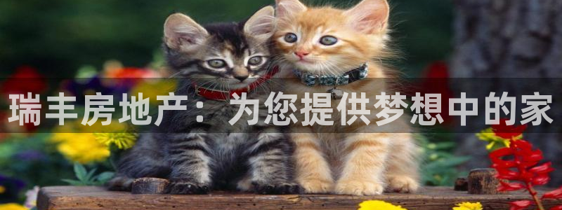 万向娱乐官网首页登录