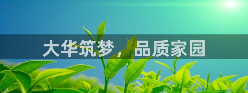 万向娱乐平台代理