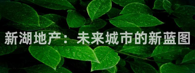 万向娱乐官网