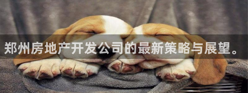 万向娱乐平台注册地址是哪里