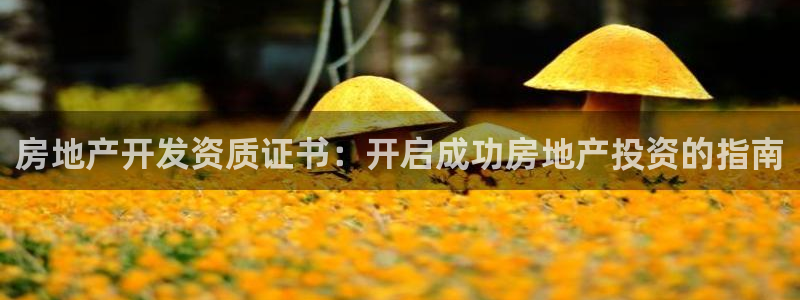 万向娱乐公司官网