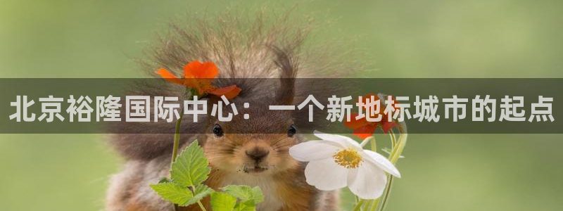 万向娱乐代理好看视频是真的吗