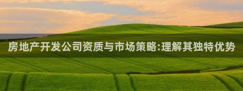 万向娱乐平台代理怎么样啊